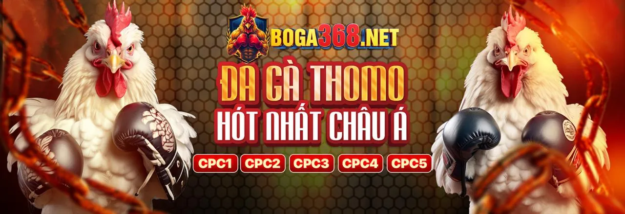 Đá Gà Trực Tuyến 123b link hôm nay